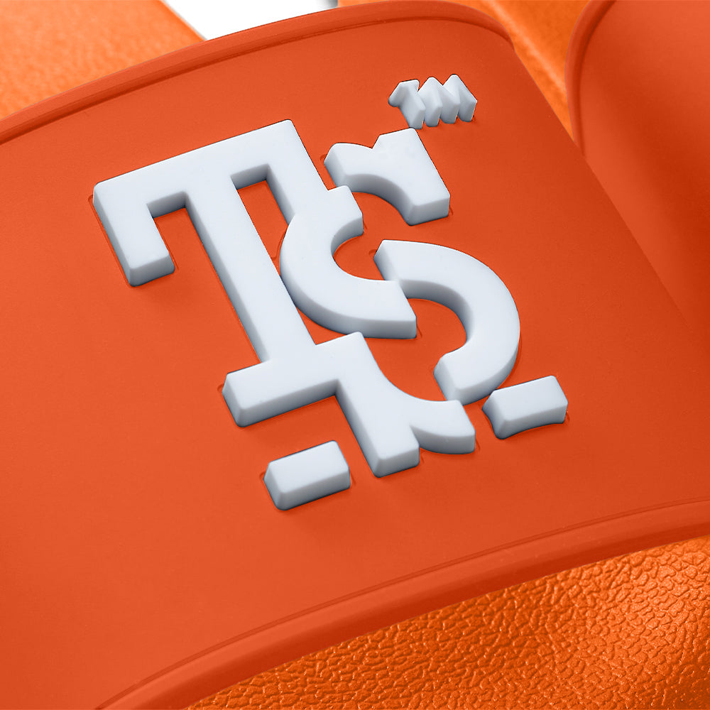 TSSLIDES | LOGO SLIDES