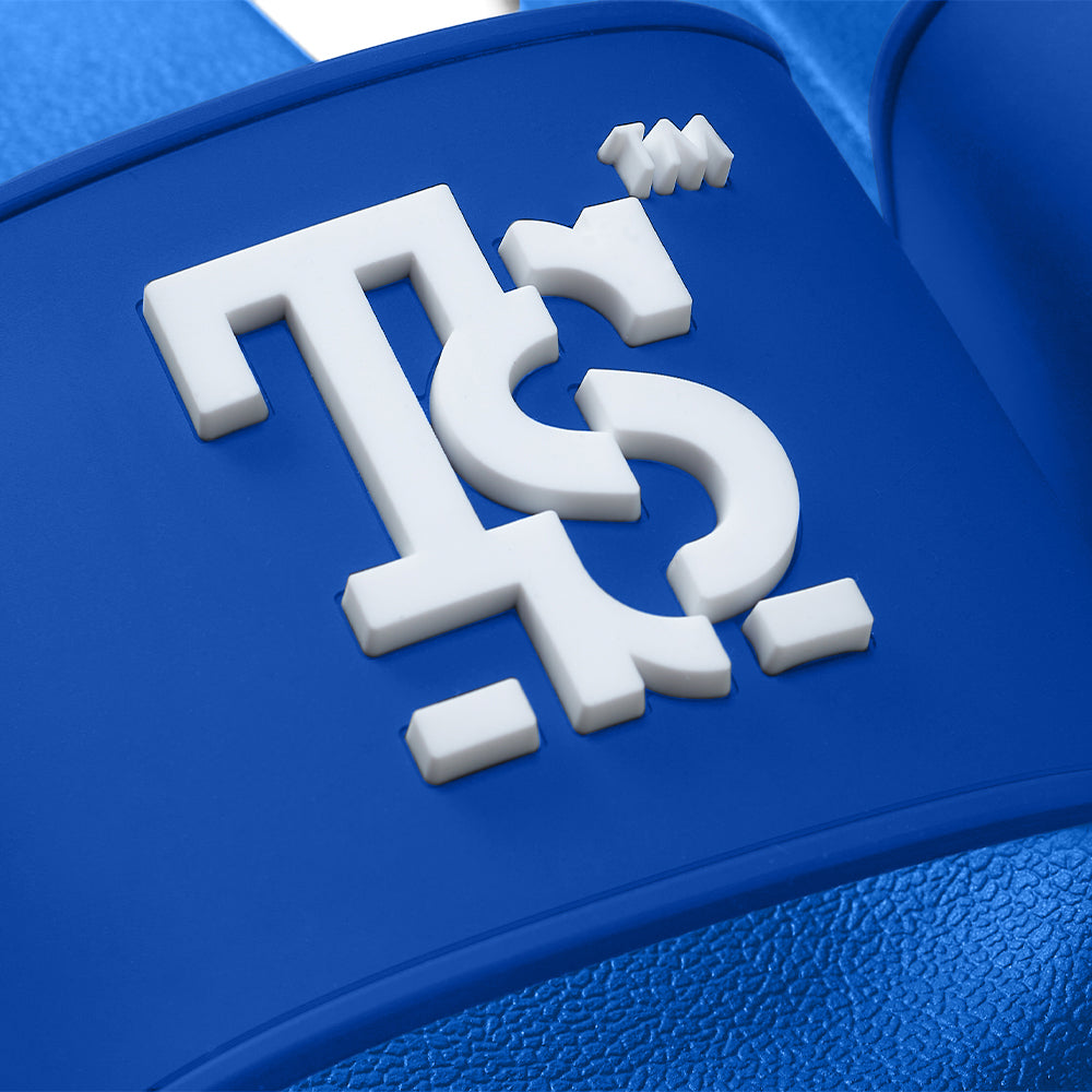 TSSLIDES | LOGO SLIDES