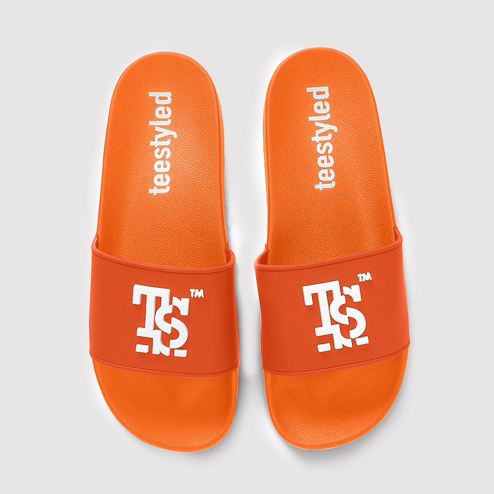 TSSLIDES | LOGO SLIDES