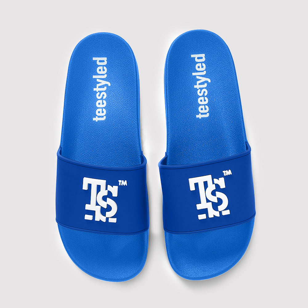 TSSLIDES | LOGO SLIDES