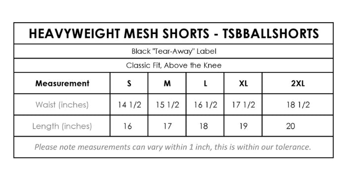 161 BLACK/GRAY Heavyweight Mesh Basketball Shorts